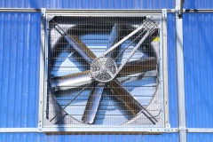 image00008